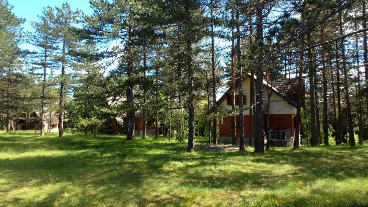 Rustic Home Tara Kaludjerske Bare Buitenkant foto